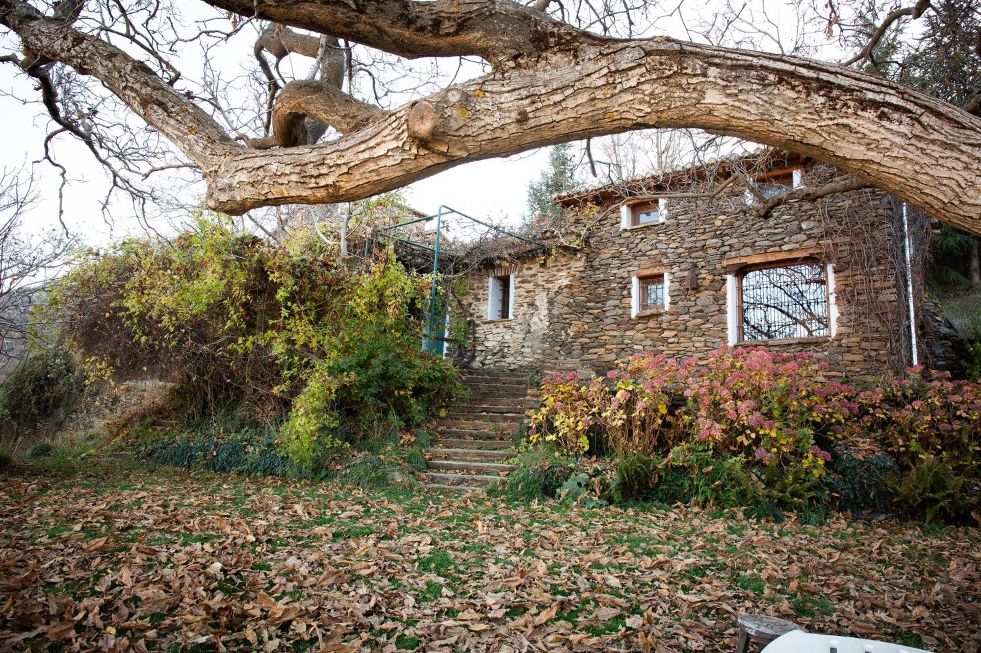 Vila La Casa Del Nogal Guejar Sierra Exteriér fotografie